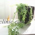 Succulents Beads Flowers Hanging Vines Bracketplant Room Wall Decor Fake X 1PC   222791897938
